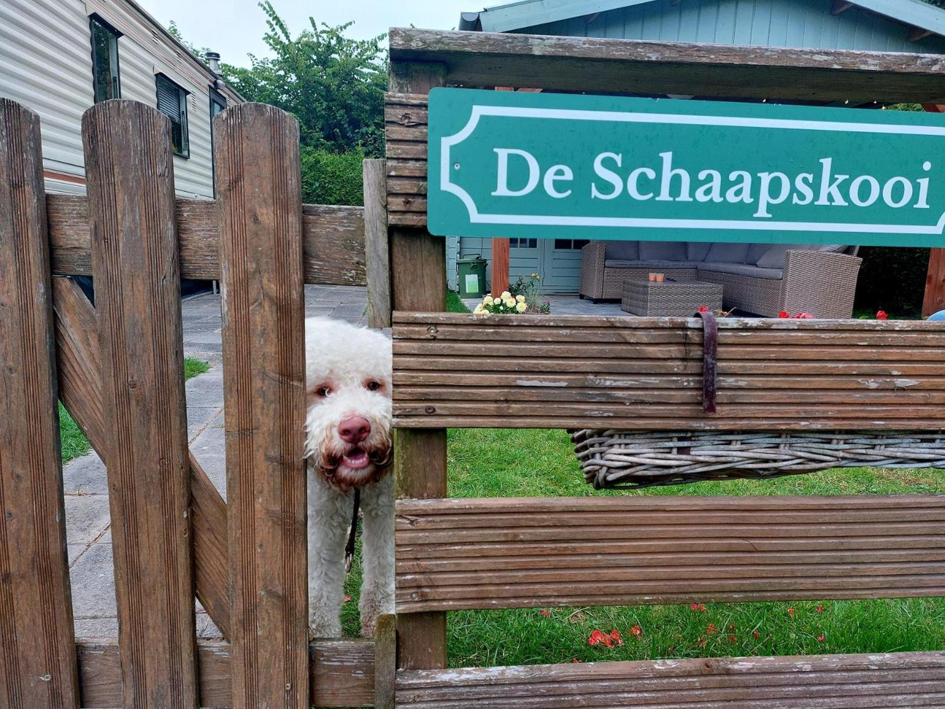 Familychalet De Schaapskooi, 6-Persons, Big Private Garden, Dogs Aloud Westergeest Exterior photo